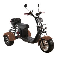 Электроскутер CityCoco Skyboard MyRussia (Маруся) BR60 3000W Trike коричневый