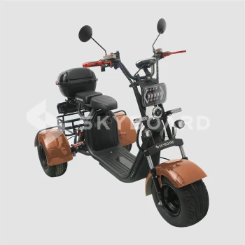 Электроскутер CityCoco SkyBoard Trike BR40-3000 PRO Коричневый