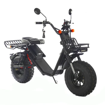 Электроскутер Skyboard Kamchatka 3000W