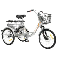 Трехколесный велосипед для взрослых РВЗ Чемпион 20" 1 скорость серебристый